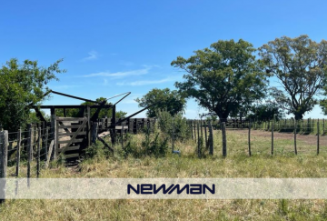 Campo en Venta en Maipu con 1.063 ha - Imagen 2