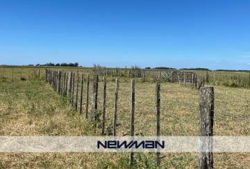 Campo en Venta A 9km De Estación Santo Domingo, Maipu - Imagen 7