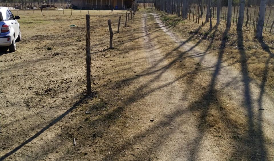 Campo en Tunuyan en Venta · dueño directo · 2 ha - Imagen 1
