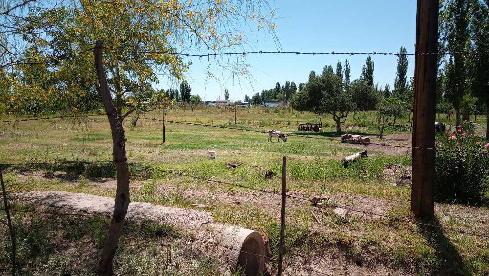 Oportunidad: Casa en Venta en Las Heras · dueño directo · 2,1 m² de lote - Imagen 4
