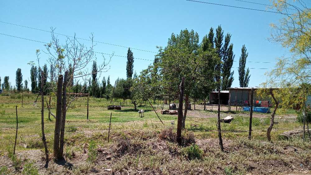 Lote 2100 M2 - Algarrobal Las Heras - Oportunidad - Recibo Permuta - Terreno en Venta en Las Heras con 2.100 m2 de terreno - imagen 5