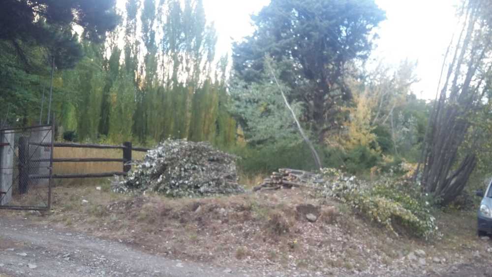 Lindo Campito - Imagen 2