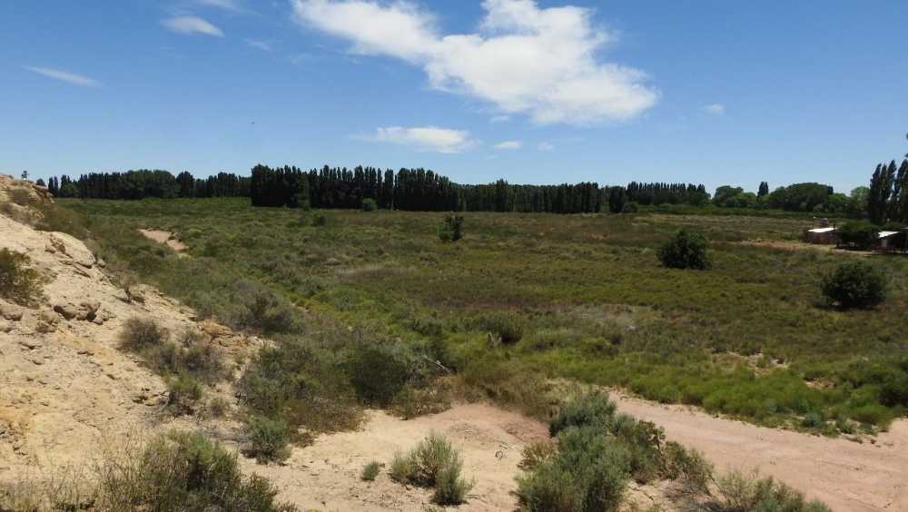Casa disponible en Arroyito Challaco · dueño directo · 10 ha - Imagen 3