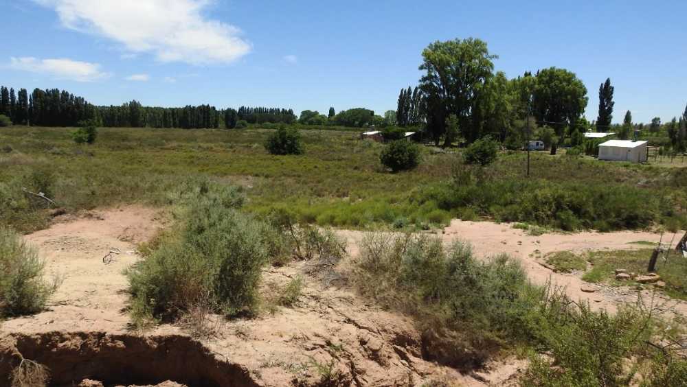 Casa disponible en Arroyito Challaco · dueño directo · 10 ha - Imagen 4