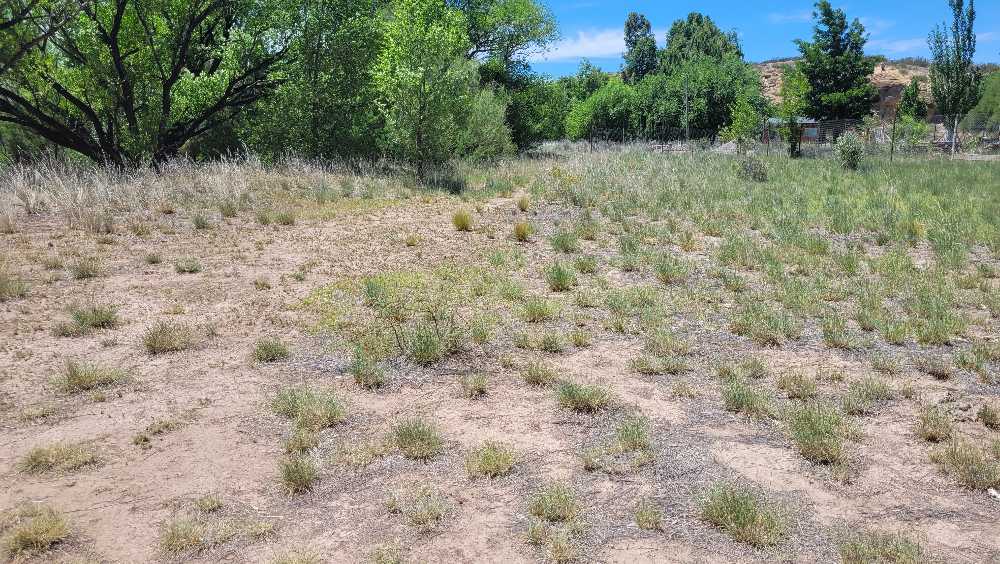 10 Hectreas En Venta - Campo en Venta en Arroyito Challaco con 10 ha - imagen 8