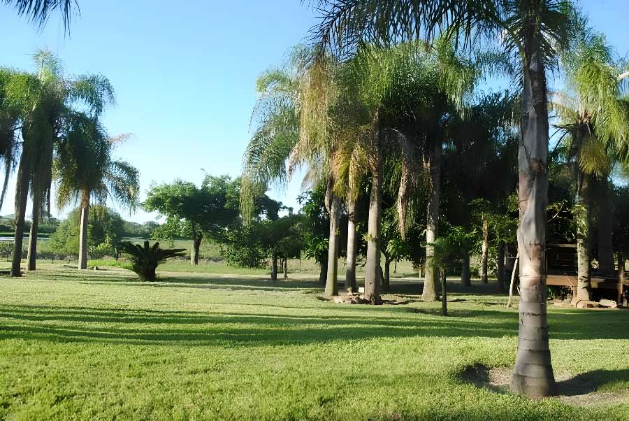 Imponente Mansión - Imagen 4