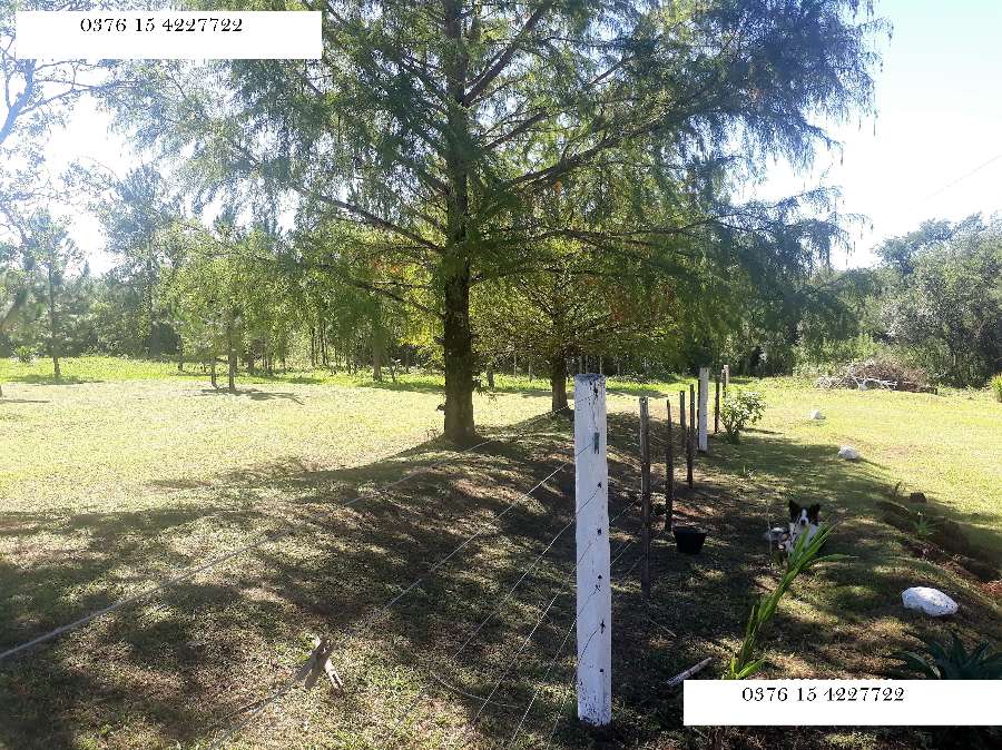 Campo disponible para la en Venta en Obera · 10 m² de lote · dueño directo · 2 dorm · 5 cocheras - Imagen 1