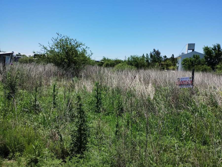 EN VENTA TERRENO POTRERO GARAY - Imagen 2