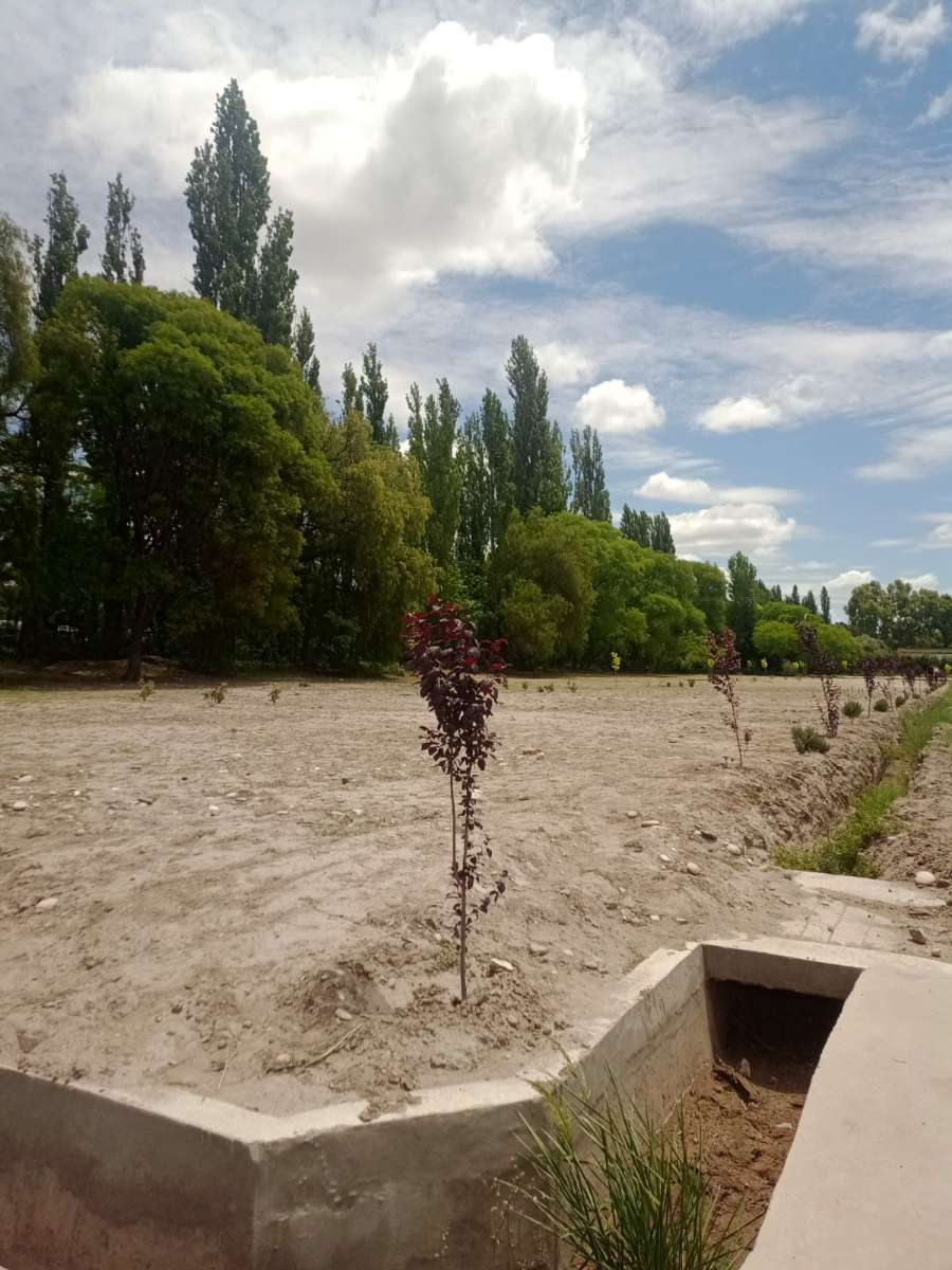 Excelente Terreno en San Rafael en Venta · frente 15 m · largo 53 m · 795 m² de lote · dueño directo - Imagen 4