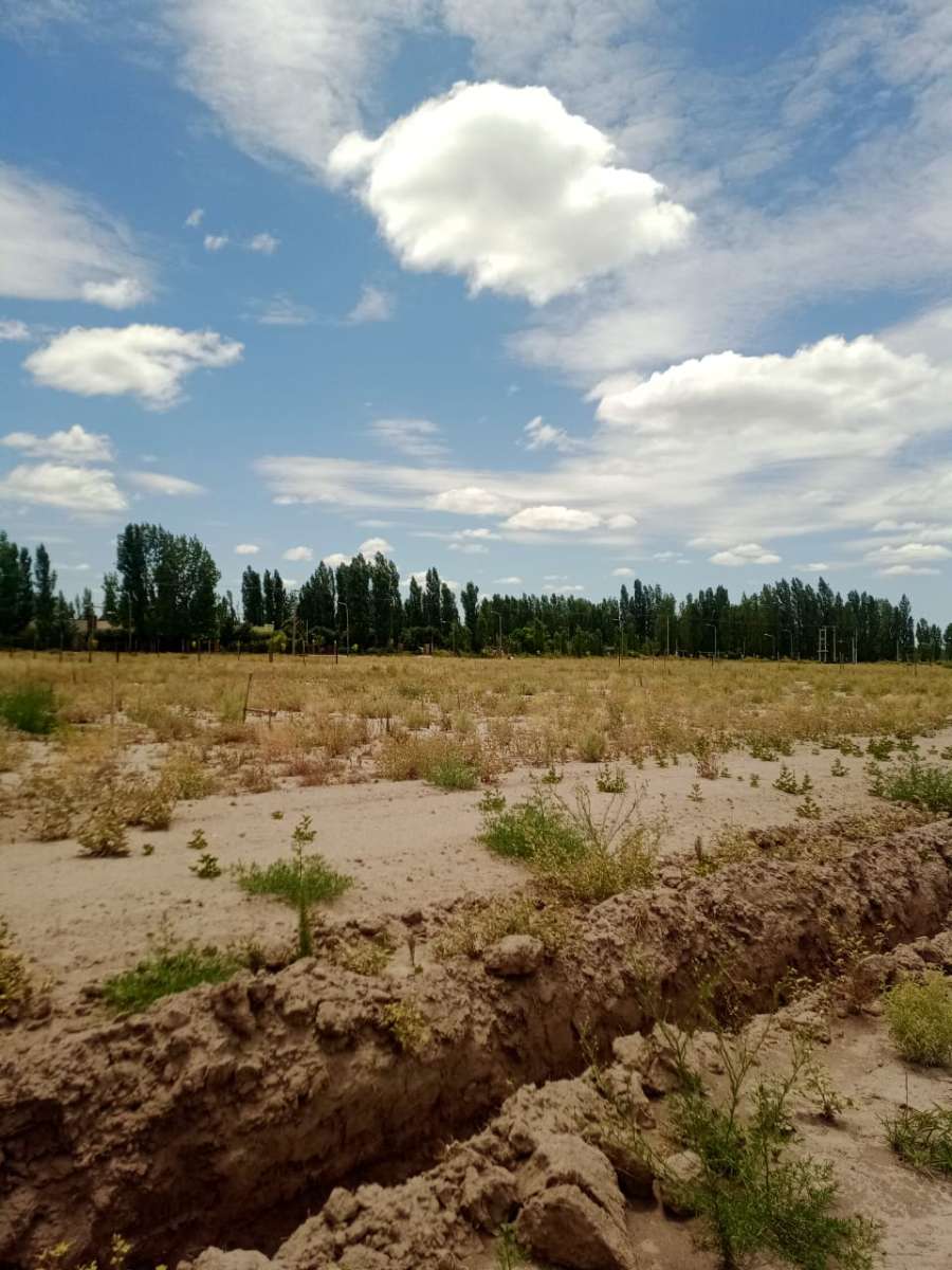 Excelente Terreno en San Rafael en Venta · frente 15 m · largo 53 m · 795 m² de lote · dueño directo - Imagen 3