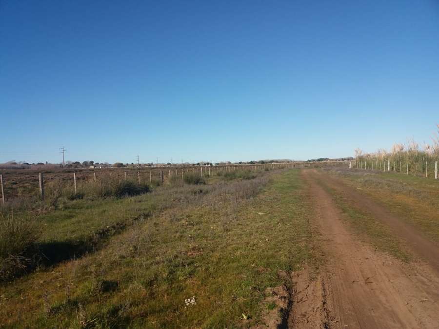 Chacras Las Toninas - Campo en Venta en San Clemente del Tuyu con 6 ha - imagen 8