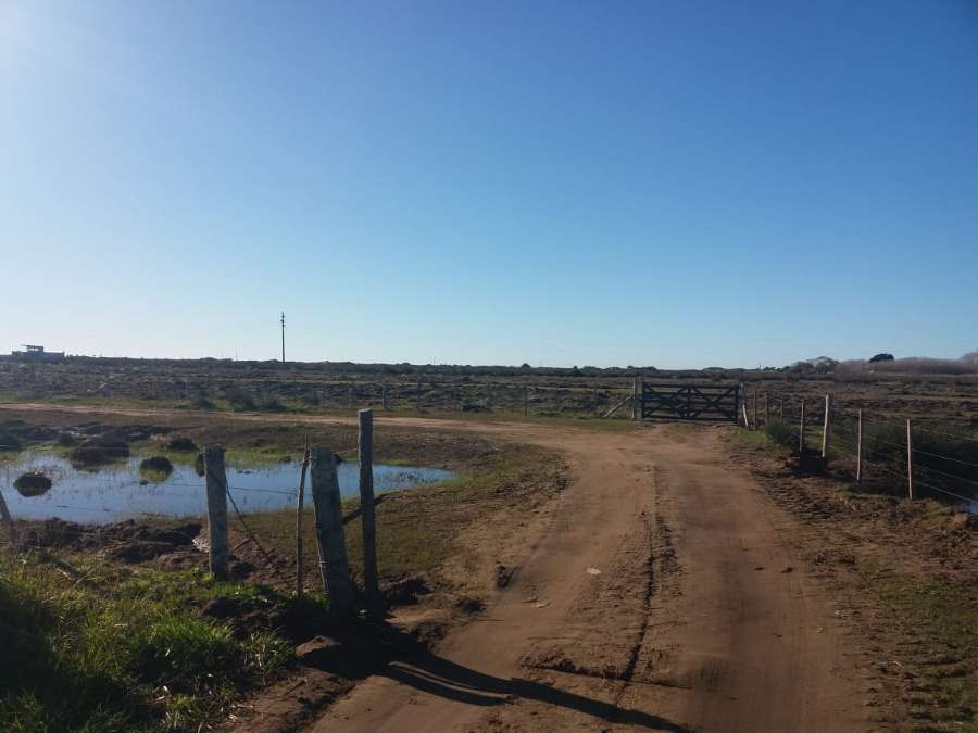 Chacras Las Toninas - Campo en Venta en San Clemente del Tuyu con 6 ha - imagen 10