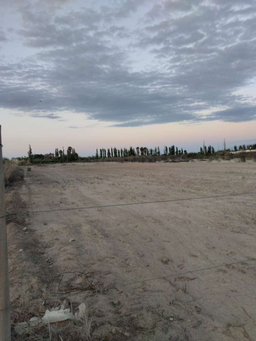 Terreno en venta en El Mogote, Chimbas, San Juan, 10.000 m2 - Imagen 2