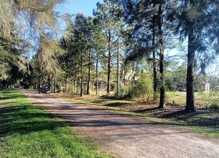 Casa en Roldan en Venta · barrio privado · dueño directo · 2,5 m² de lote - Imagen 4