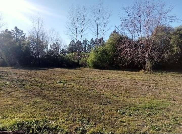 Terreno En Venta En Barrio Privado De Roldn, Santa Fe, Forestado Y Perimetrado - Terreno en Venta en Roldan con 2.500 m2 de terreno - imagen 7