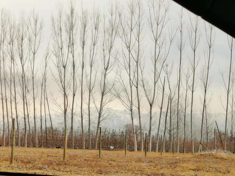 Terreno en venta en Bosques de Capiz, Tunuyán, 1000 m² - Imagen 5
